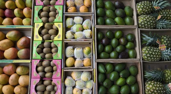 UAE, Abu Dhabi Various fruit in boxes at market